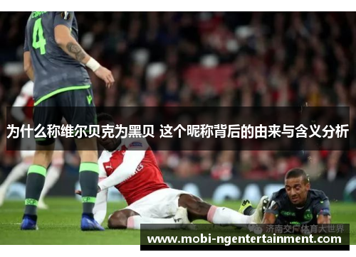 为什么称维尔贝克为黑贝 这个昵称背后的由来与含义分析