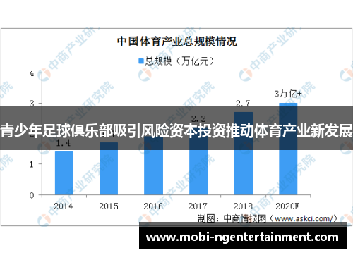 青少年足球俱乐部吸引风险资本投资推动体育产业新发展