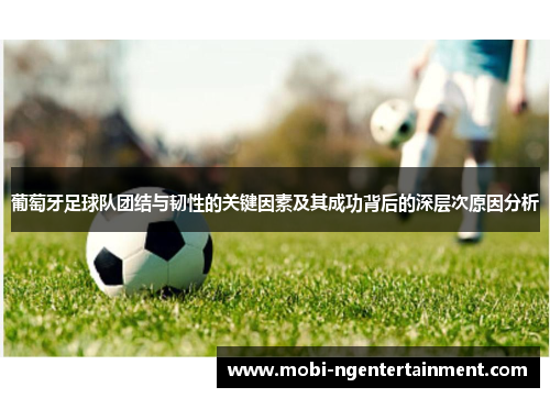 葡萄牙足球队团结与韧性的关键因素及其成功背后的深层次原因分析 葡萄牙足球队团结与韧性的关键因素及其成功背后的深层次原因分析